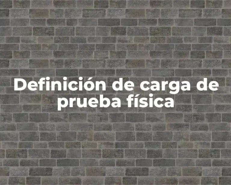 Definición de carga de prueba física