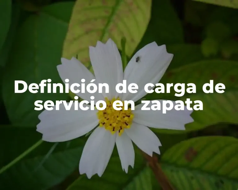 Definición de carga de servicio en zapata