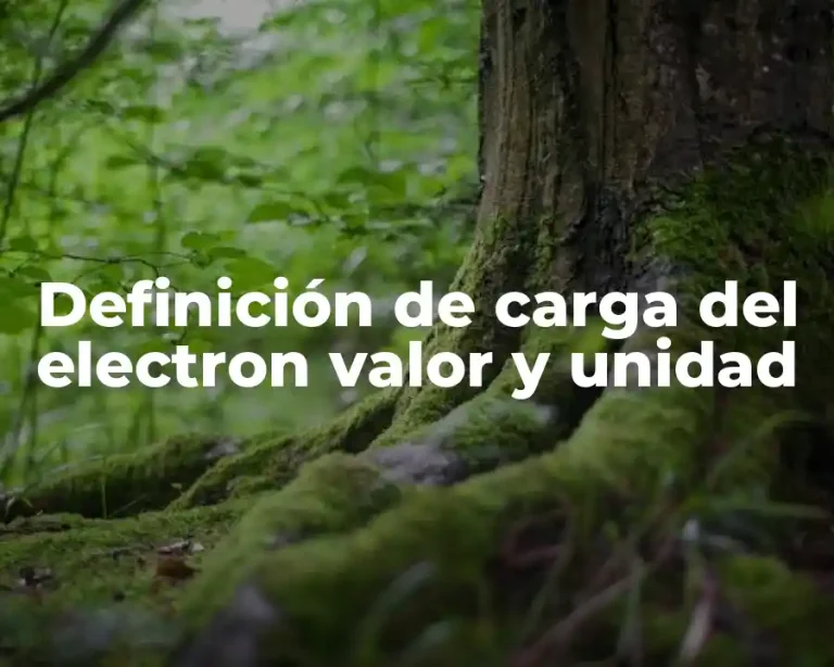 Definición de carga del electron valor y unidad