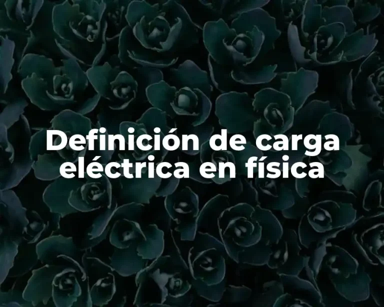 Definición de carga eléctrica en física