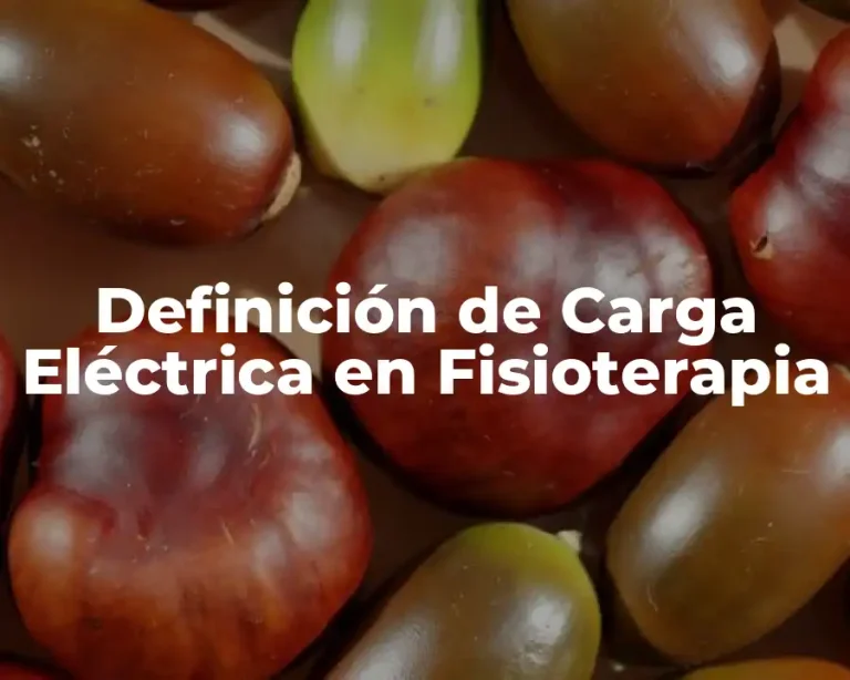 Definición de Carga Eléctrica en Fisioterapia