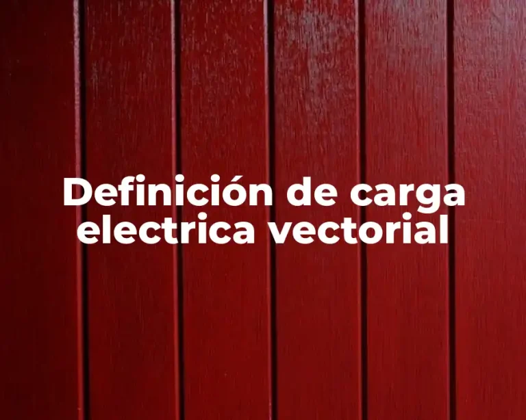Definición de carga electrica vectorial