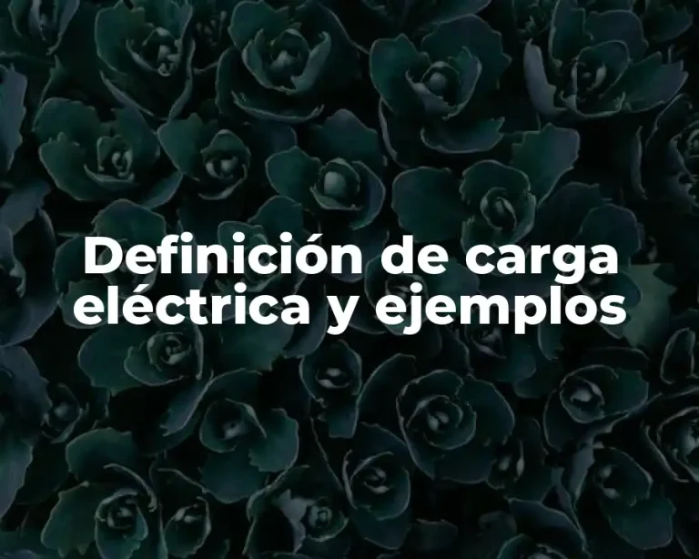 Definición de carga eléctrica y ejemplos