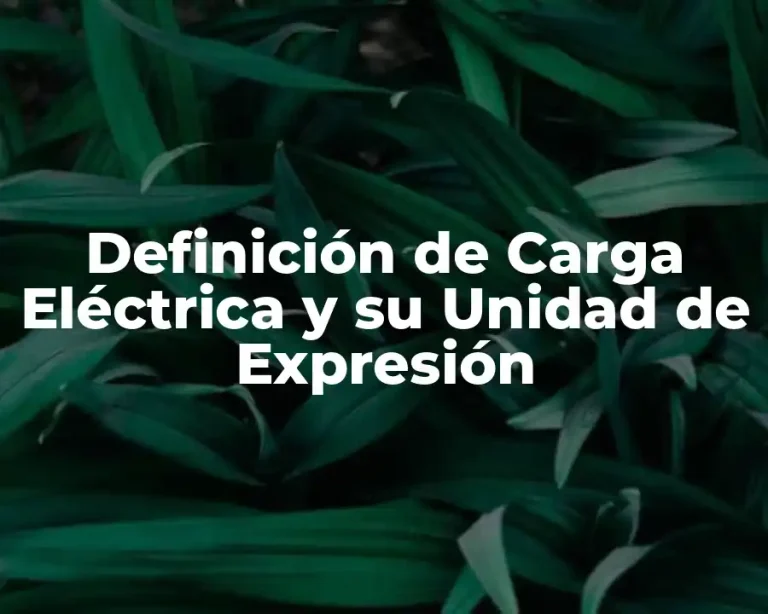 Definición de Carga Eléctrica y su Unidad de Expresión