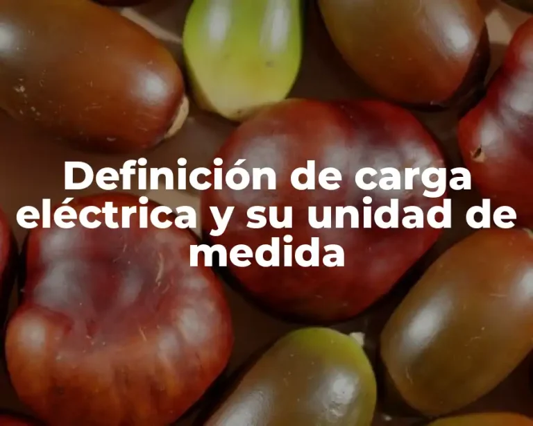 Definición de carga eléctrica y su unidad de medida