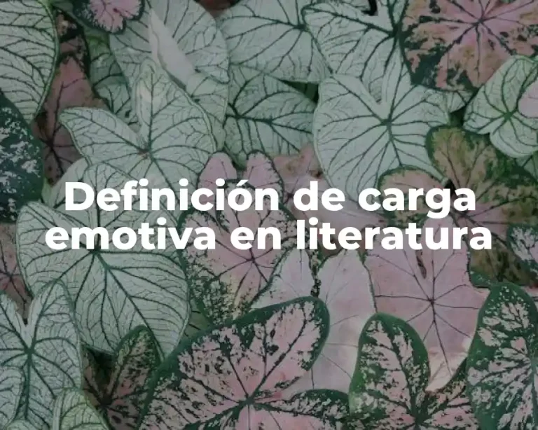 Definición de carga emotiva en literatura