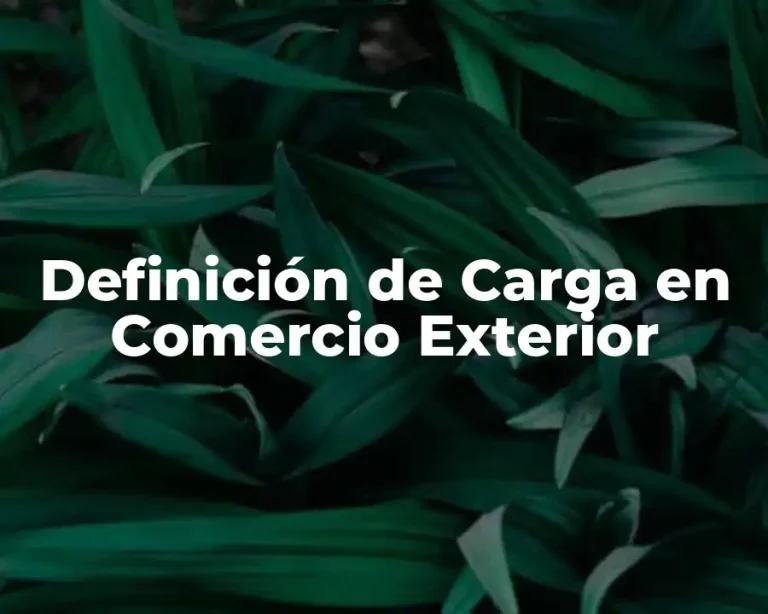 Definición de Carga en Comercio Exterior