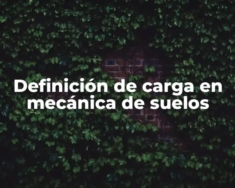 Definición de carga en mecánica de suelos