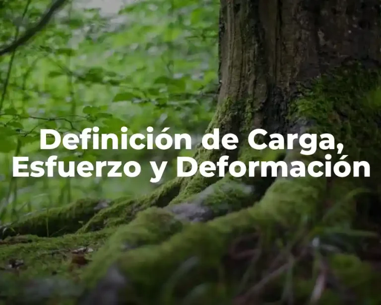 Definición de Carga, Esfuerzo y Deformación