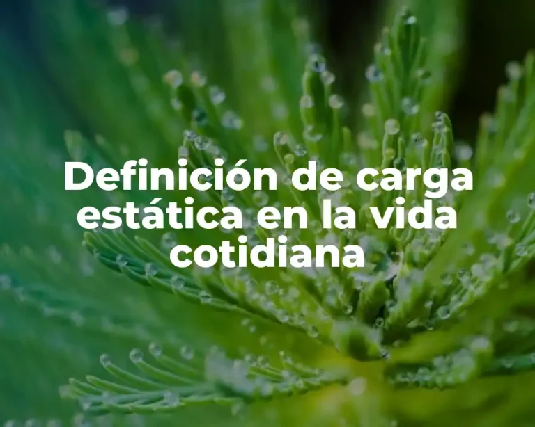 Definición de carga estática en la vida cotidiana