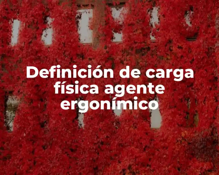 Definición de carga física agente ergonímico