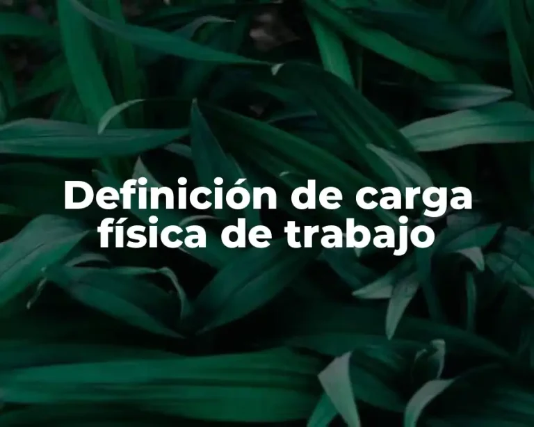 Definición de carga física de trabajo