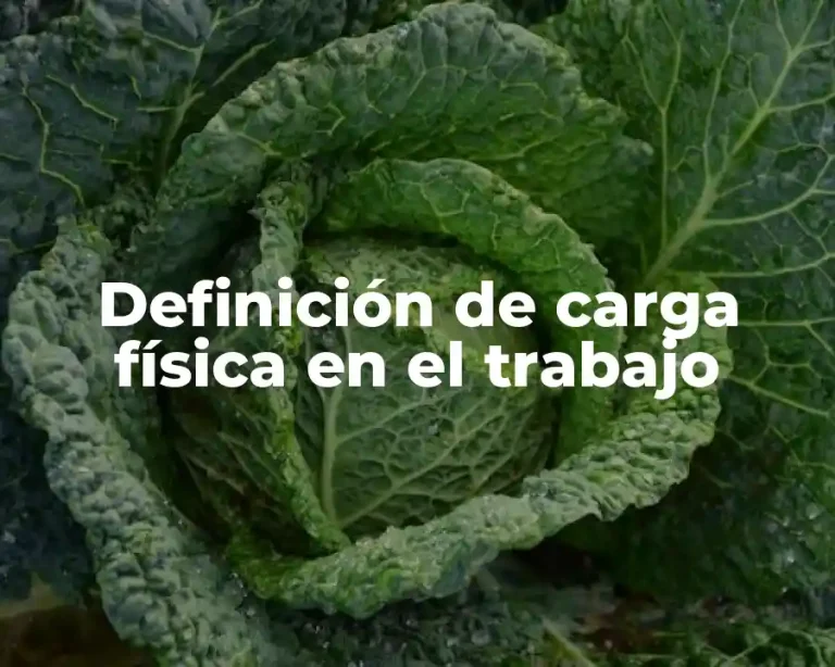 Definición de carga física en el trabajo