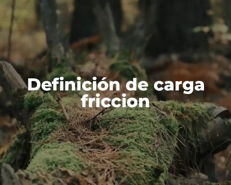 Definición de carga friccion