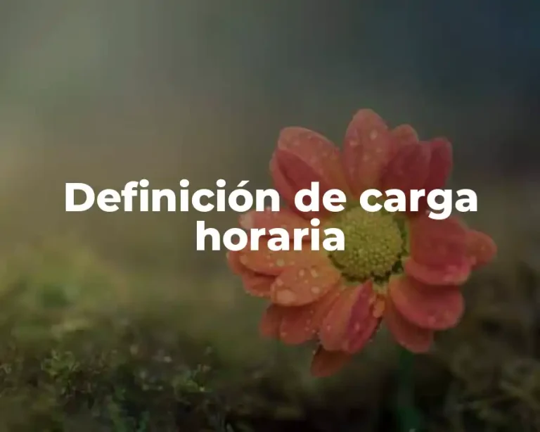 Definición de carga horaria