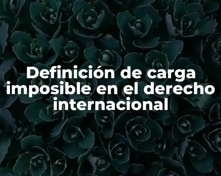 Definición de carga imposible en el derecho internacional