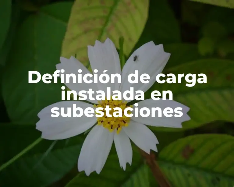 Definición de carga instalada en subestaciones