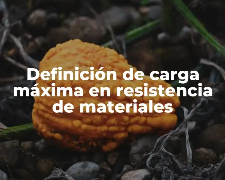 Definición de carga máxima en resistencia de materiales