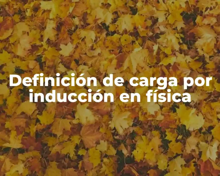 Definición de carga por inducción en física