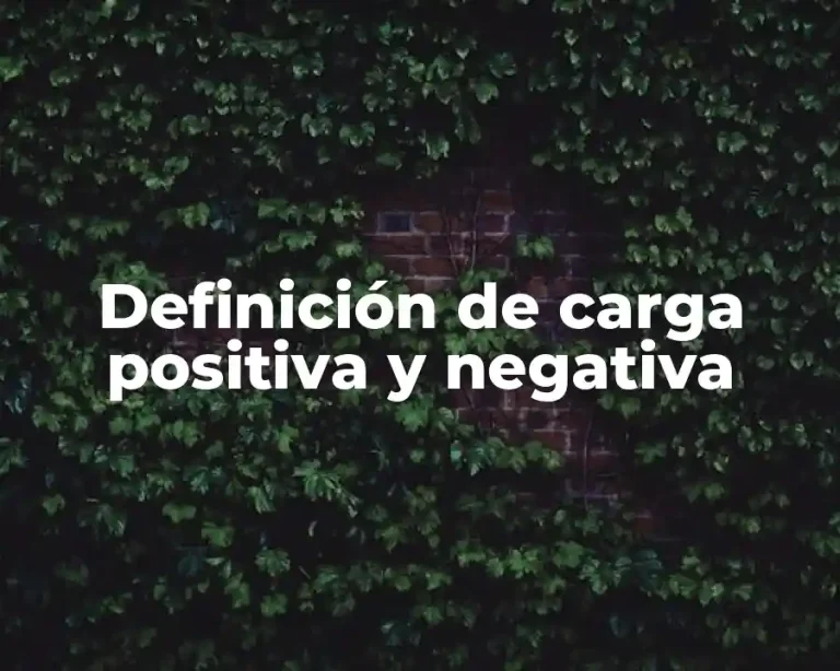 Definición de carga positiva y negativa