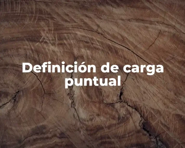 Definición de carga puntual