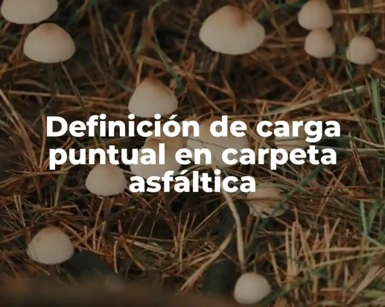 Definición de carga puntual en carpeta asfáltica
