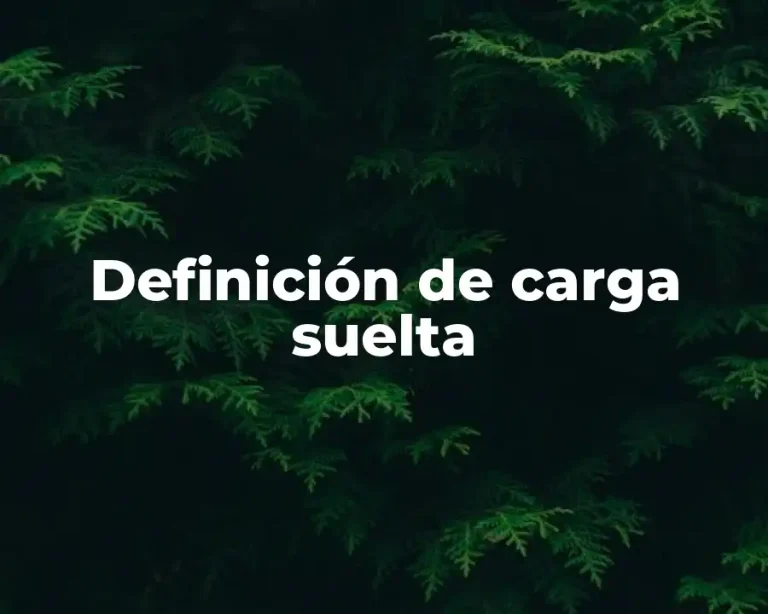 Definición de carga suelta