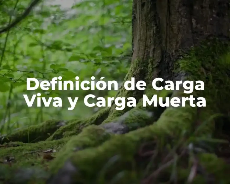 Definición de Carga Viva y Carga Muerta