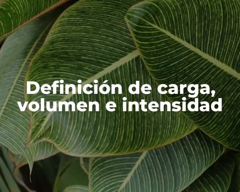 Definición de carga, volumen e intensidad