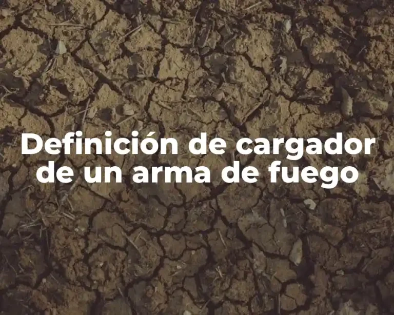 Definición de cargador de un arma de fuego