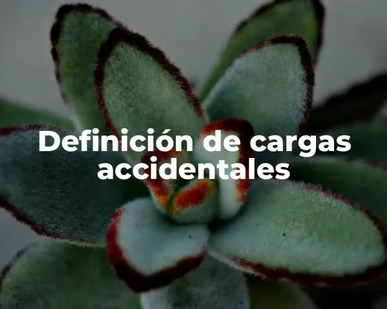 Definición de cargas accidentales