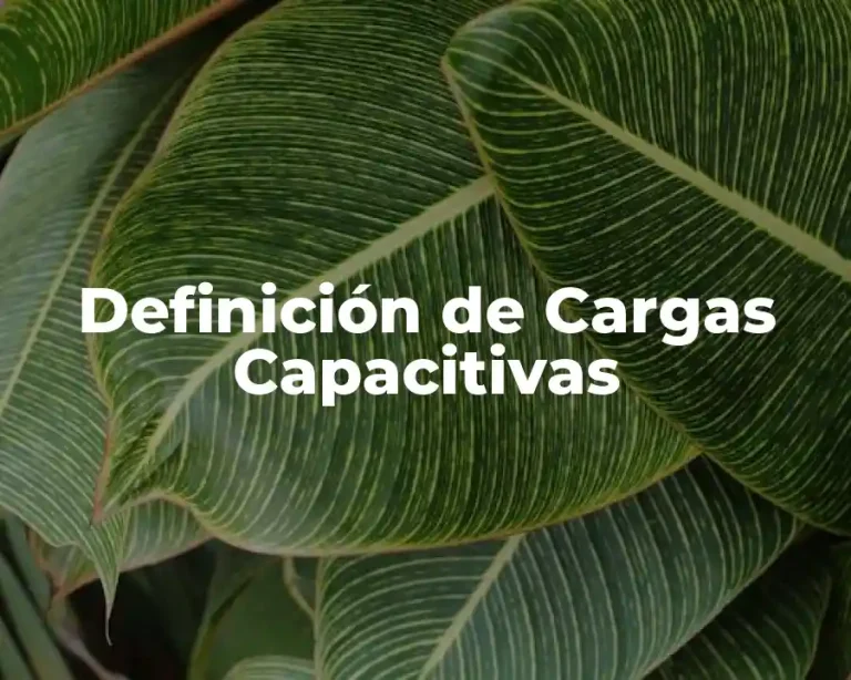 Definición de Cargas Capacitivas