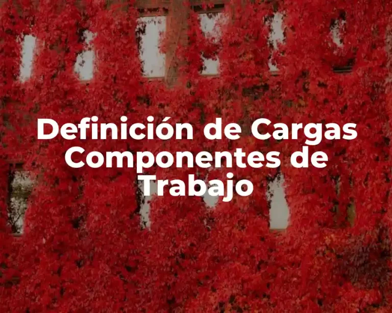 Definición de Cargas Componentes de Trabajo