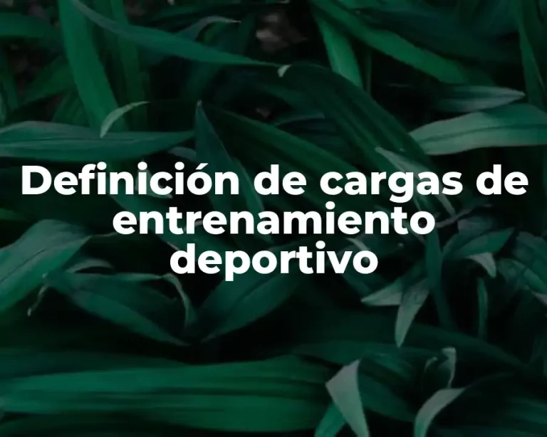 Definición de cargas de entrenamiento deportivo