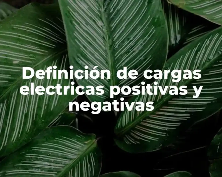 Definición de cargas electricas positivas y negativas