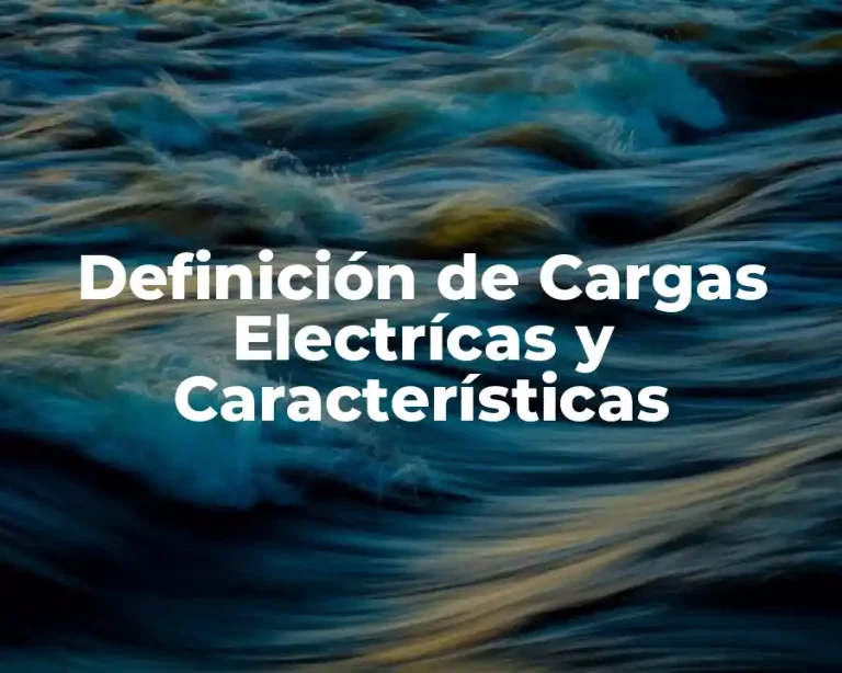 Definición de Cargas Electrícas y Características