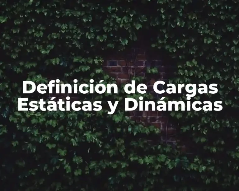 Definición de Cargas Estáticas y Dinámicas