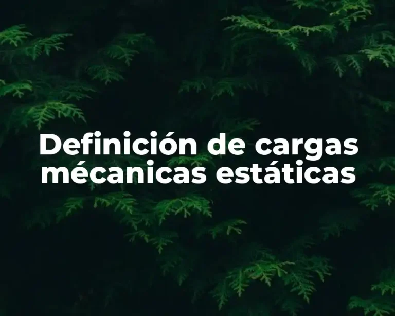 Definición de cargas mécanicas estáticas
