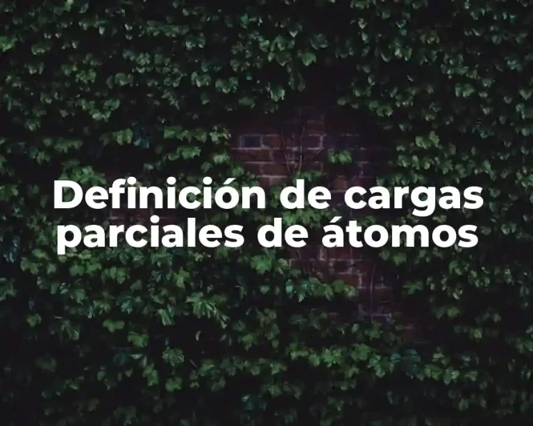 Definición de cargas parciales de átomos