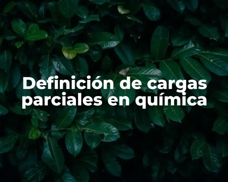 Definición de cargas parciales en química