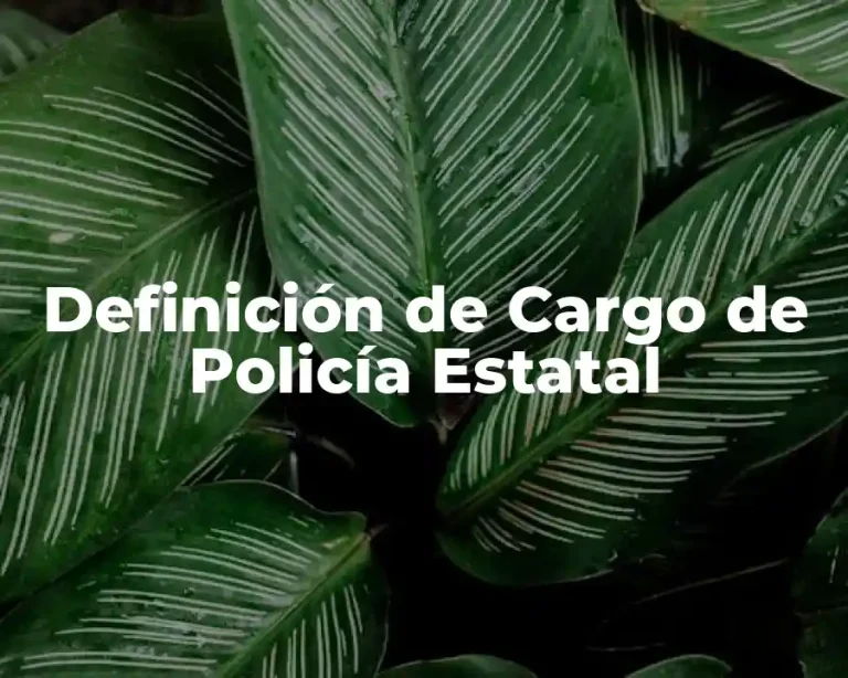Definición de Cargo de Policía Estatal