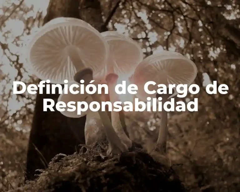 Definición de Cargo de Responsabilidad