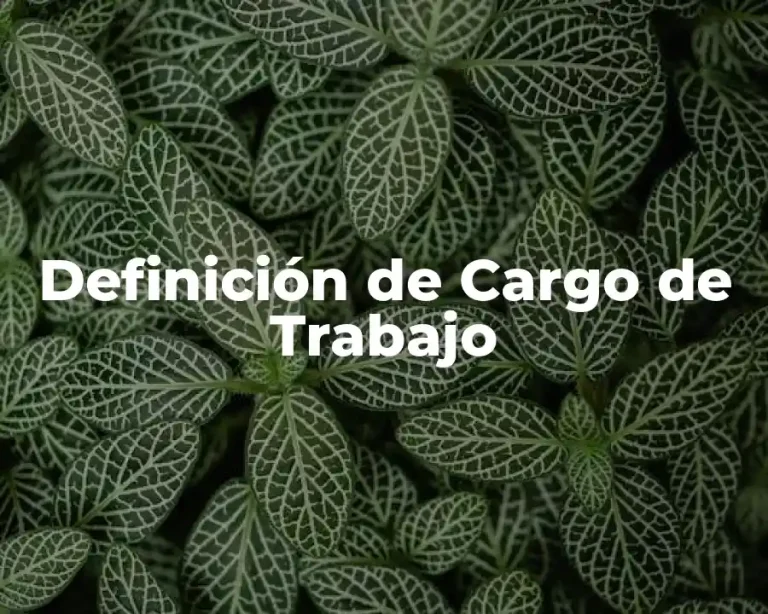 Definición de Cargo de Trabajo
