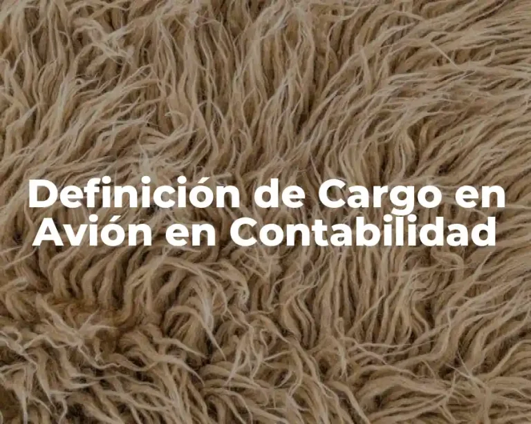 Definición de Cargo en Avión en Contabilidad