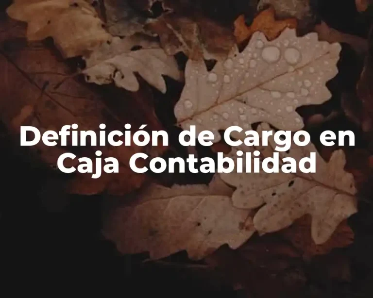 Definición de Cargo en Caja Contabilidad