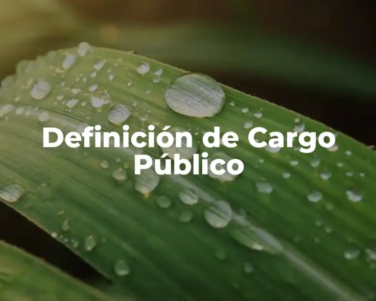 Definición de Cargo Público