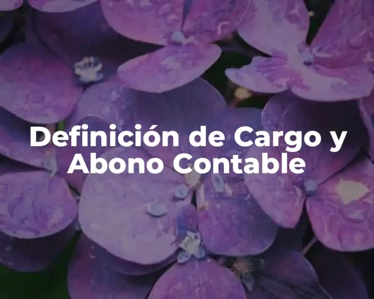 Definición de Cargo y Abono Contable