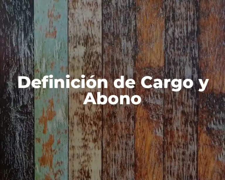 Definición de Cargo y Abono