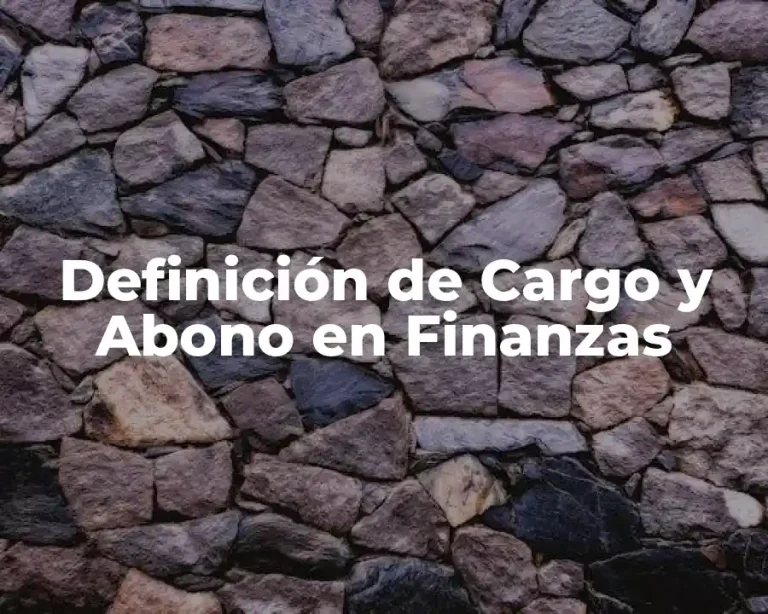 Definición de Cargo y Abono en Finanzas