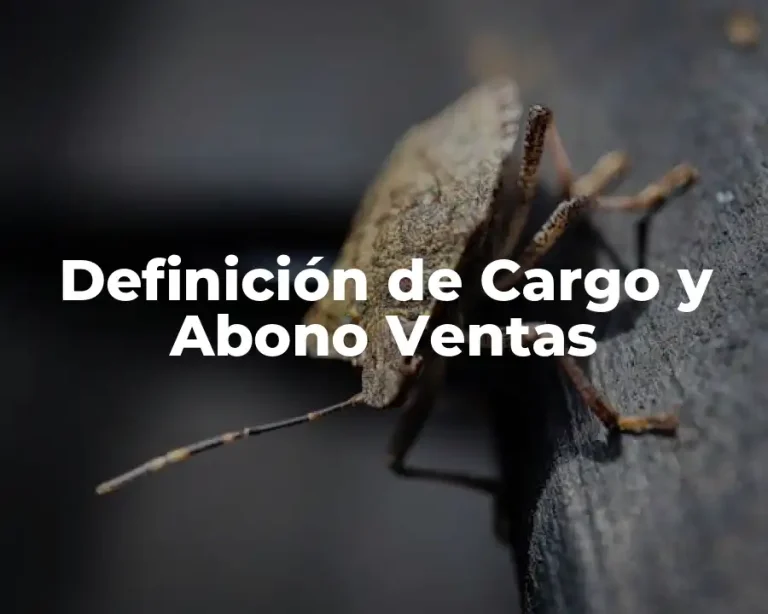 Definición de Cargo y Abono Ventas